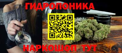 сатива Будённовск