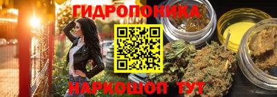сатива Будённовск