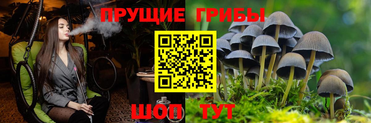 Галлюциногенные грибы Psilocybe  Вход с VPN  Пыть-Ях 